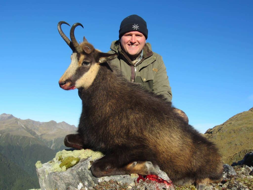 Chamois Hunting in New Zealand / South Pacific Safaris