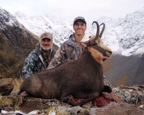 Tahr + Chamois