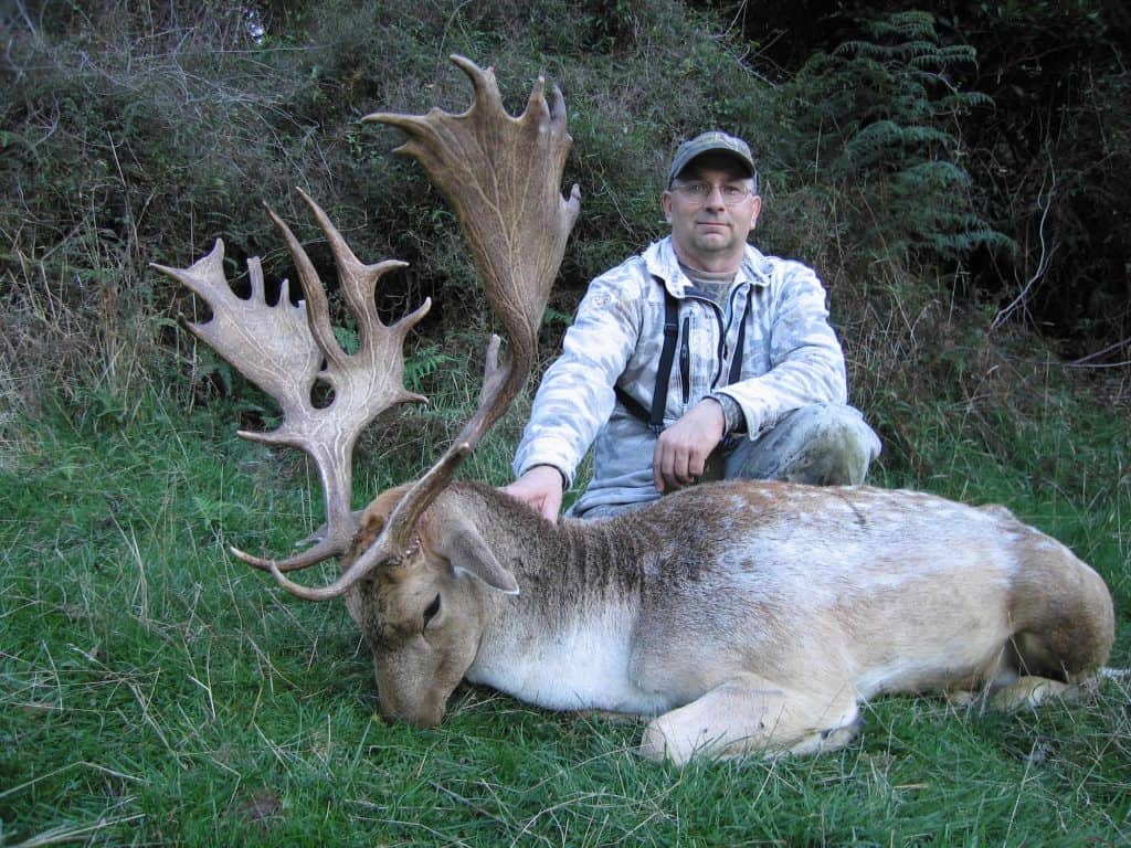 Fallow Buck Hunting In New Zealand | South Pacific Safaris