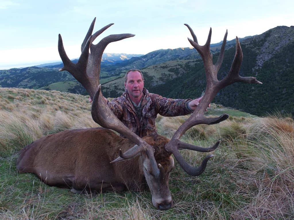 320-360B SCI Red Stag | South Pacific Safaris