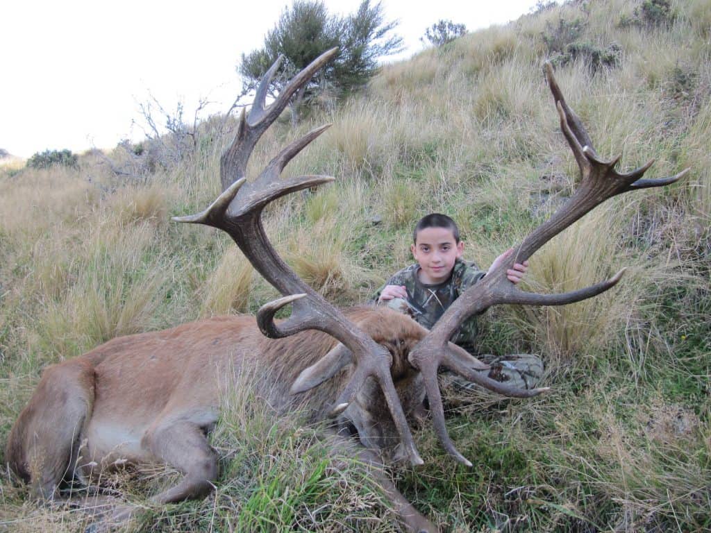 320-360E SCI Red Stag | South Pacific Safaris