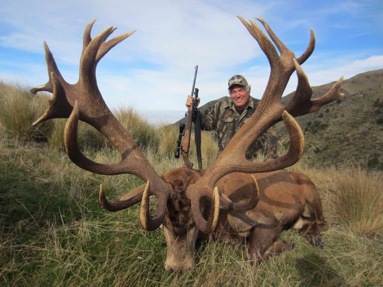 New Zealand Red Stag Hunting | South Pacific Safaris