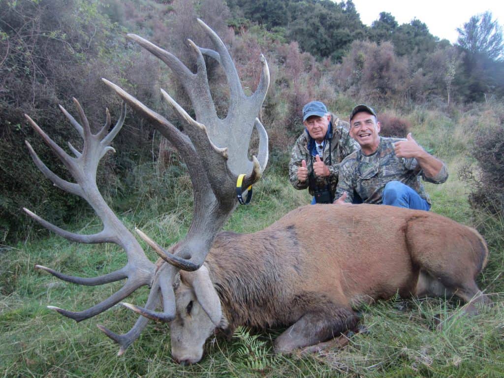 400-450D SCI Red Stag | South Pacific Safaris