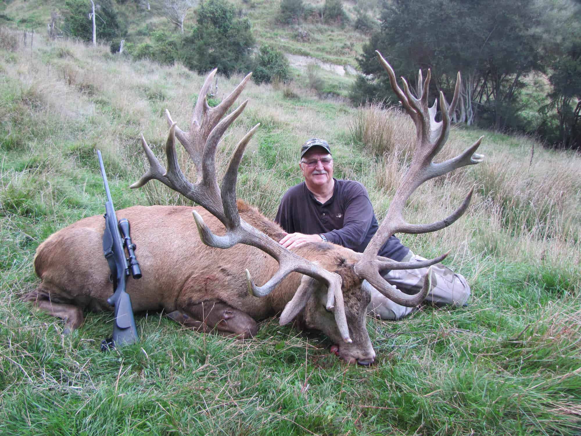 400-450F SCI Red Stag | South Pacific Safaris
