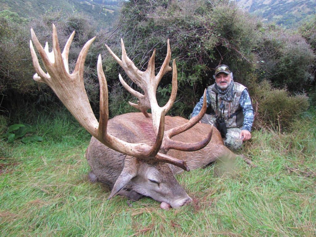 400-450G SCI Red Stag | South Pacific Safaris