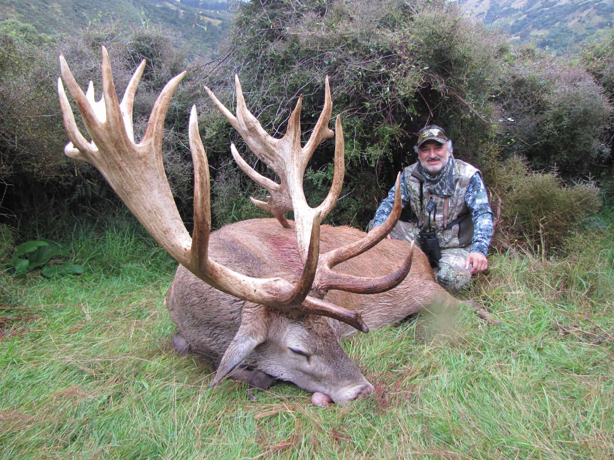 400-450G SCI Red Stag | South Pacific Safaris