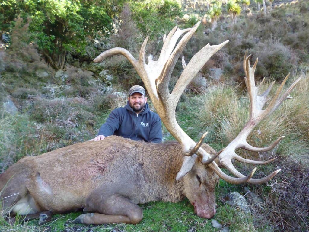 400-450I SCI Red Stag | South Pacific Safaris