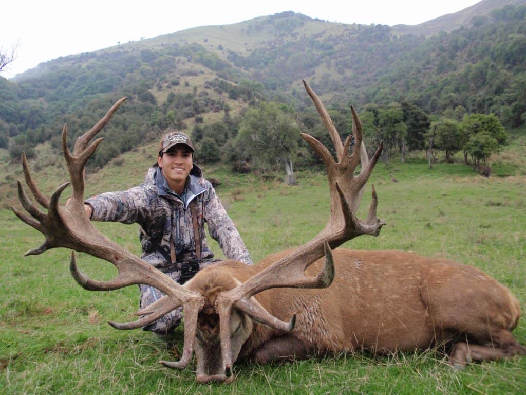 New Zealand Red Stag Hunting | South Pacific Safaris