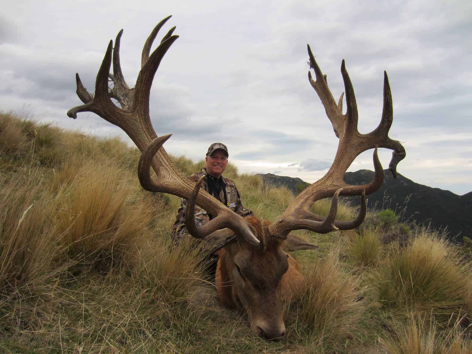 450-500A SCI Red Stag | South Pacific Safaris