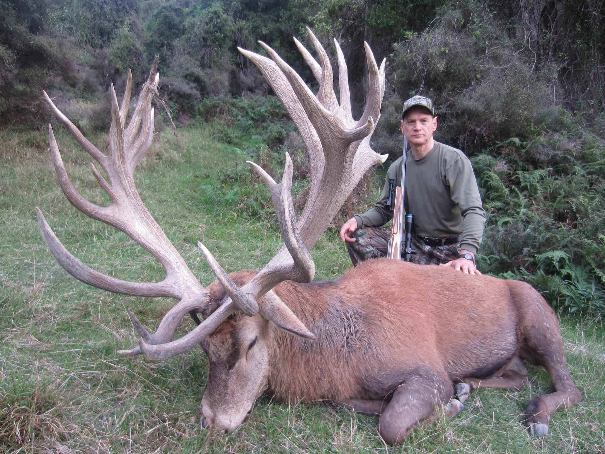 450-500B SCI Red Stag | South Pacific Safaris