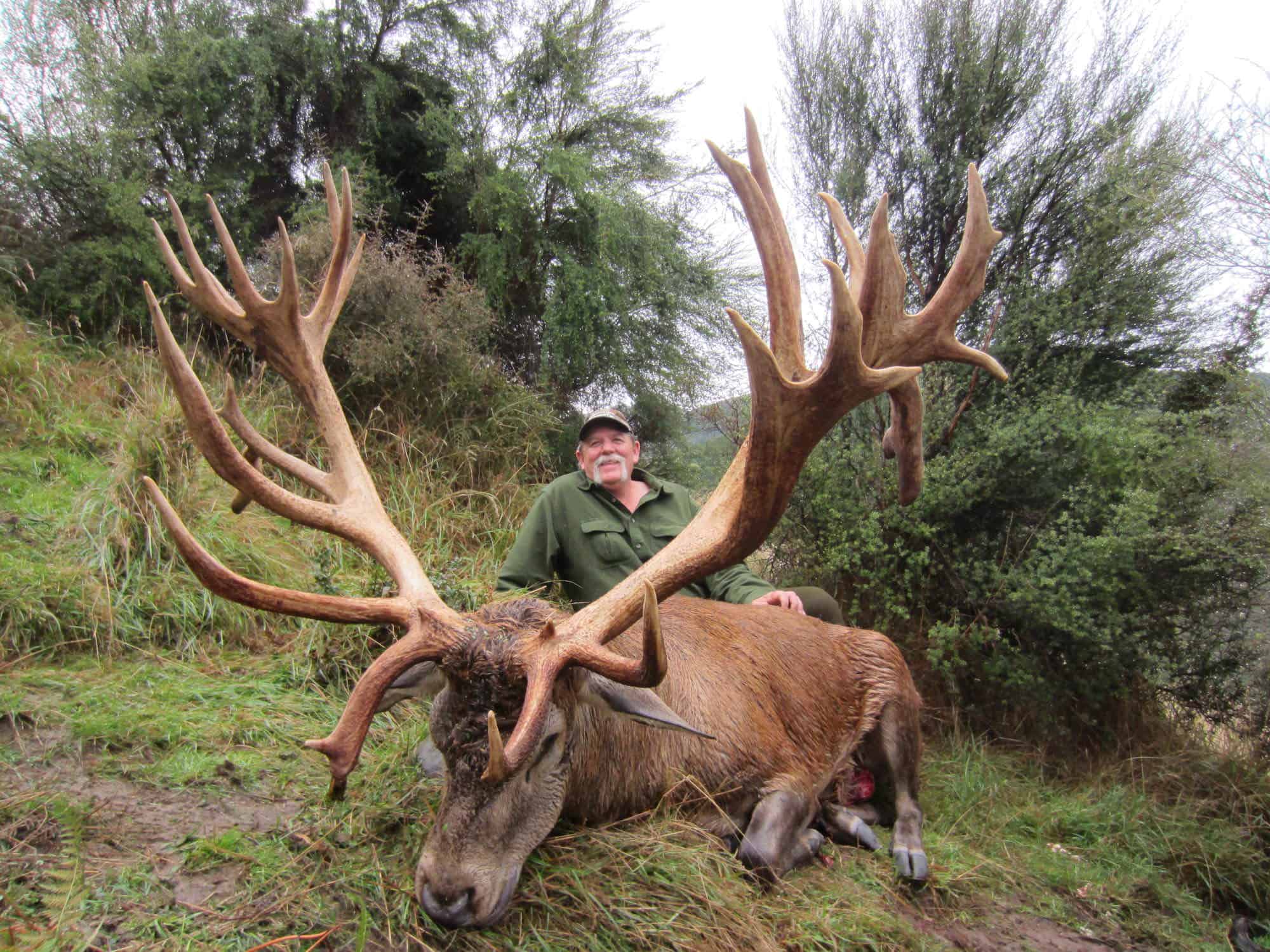 450-500C SCI Red Stag | South Pacific Safaris