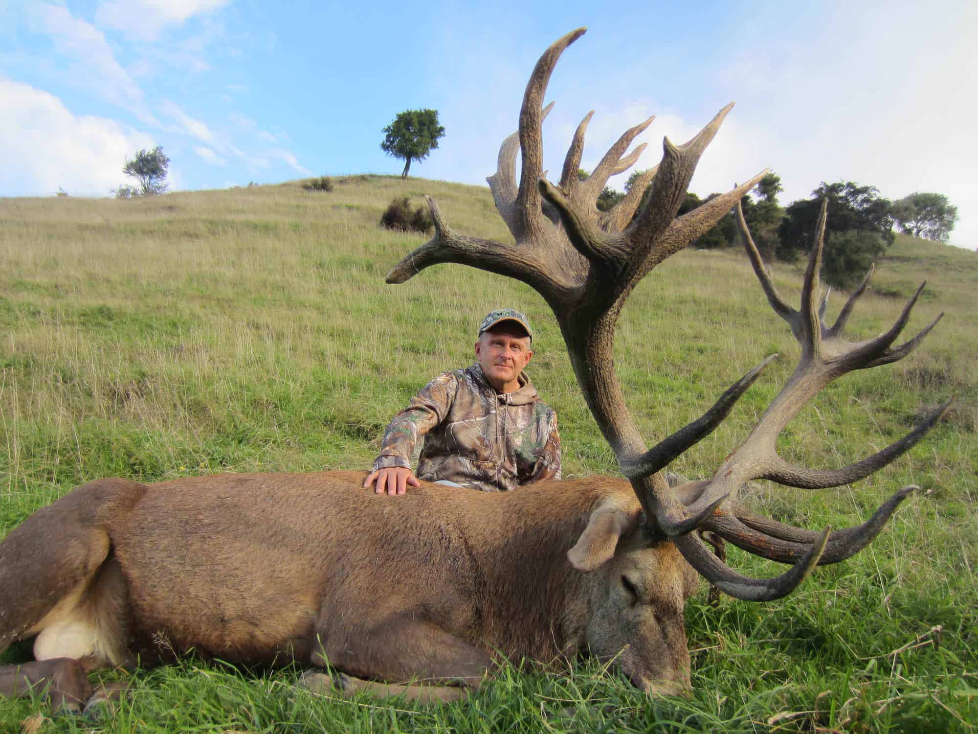450-500D SCI Red Stag | South Pacific Safaris