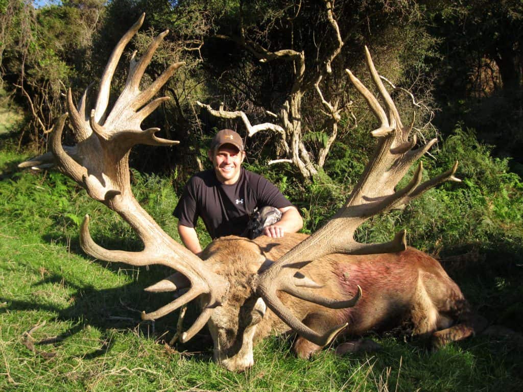 New Zealand Red Stag Hunting | South Pacific Safaris