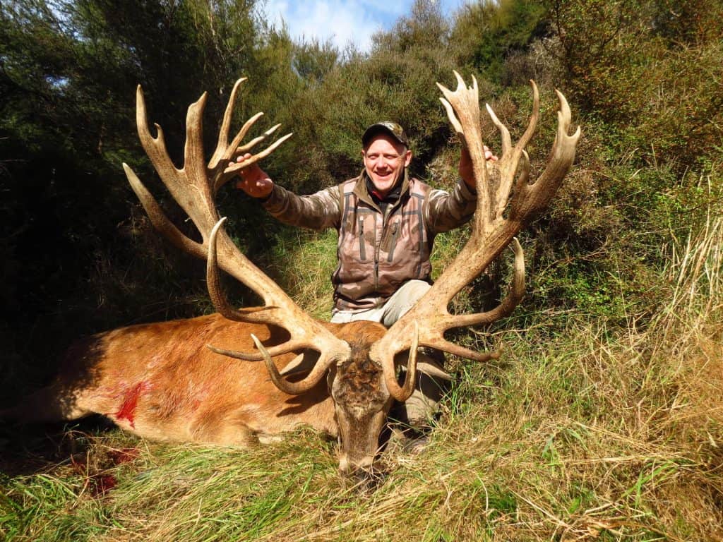 525 SCI Red Stag | South Pacific Safaris