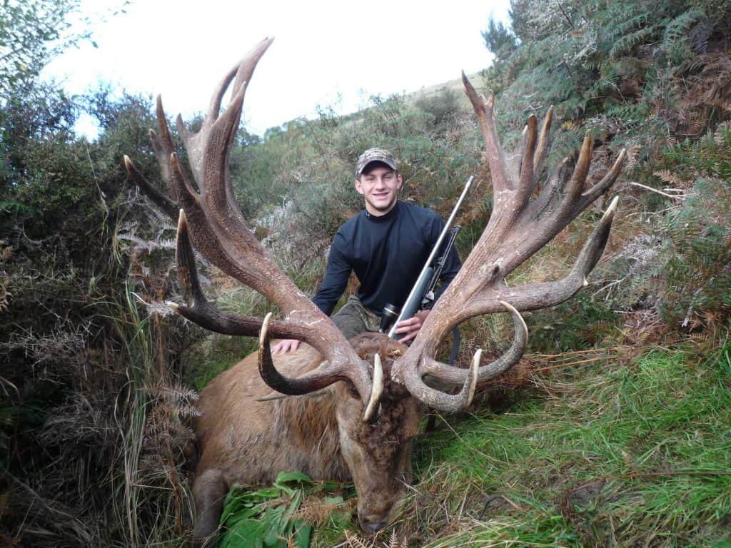 525 SCI Red Stag | South Pacific Safaris