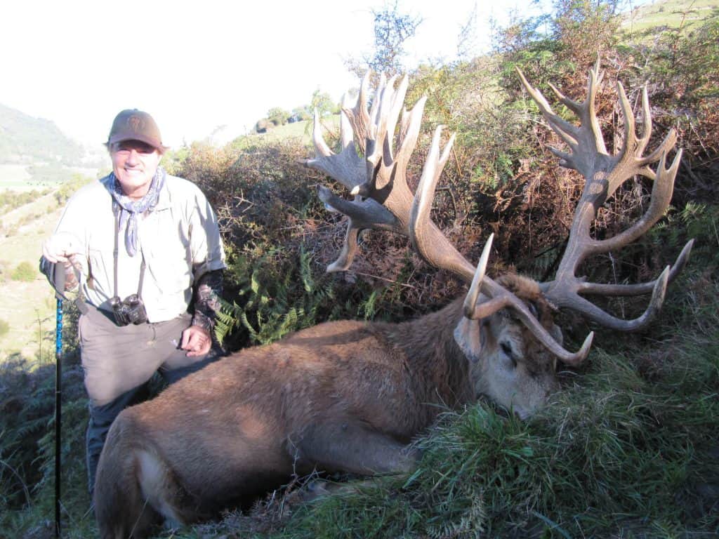 530 SCI Red Stag | South Pacific Safaris