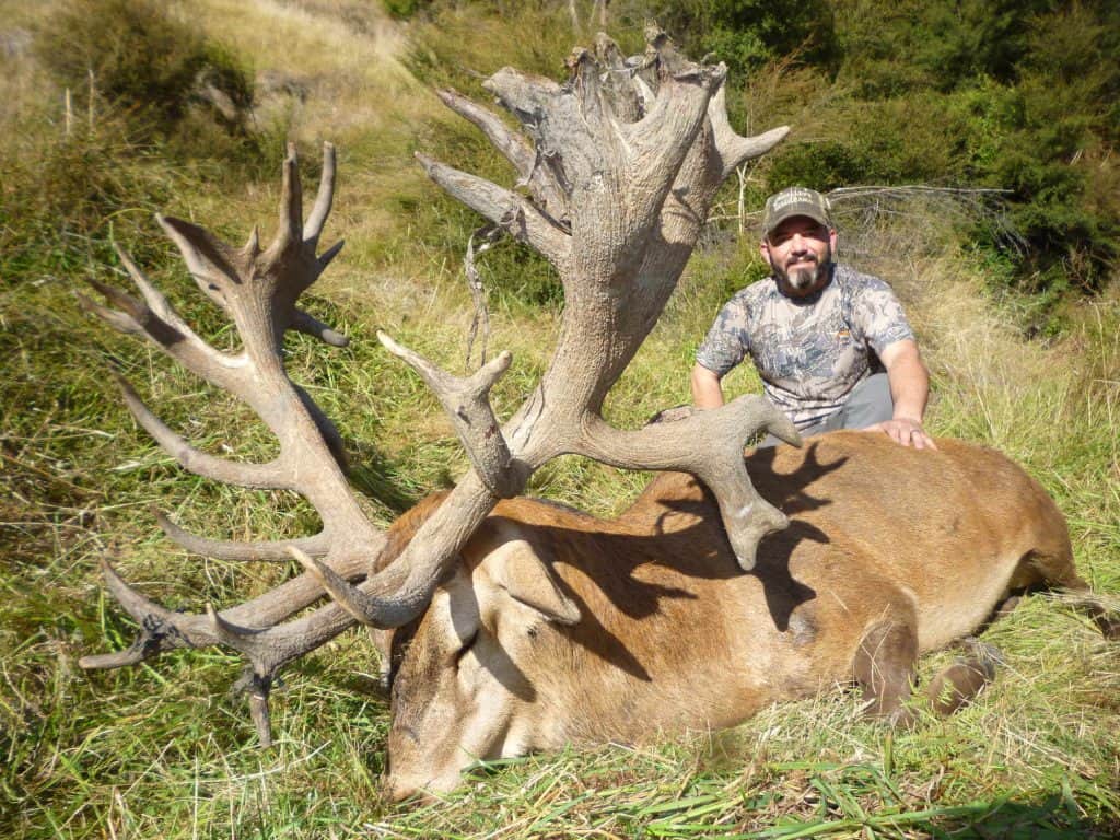 New Zealand Red Stag Hunting | South Pacific Safaris