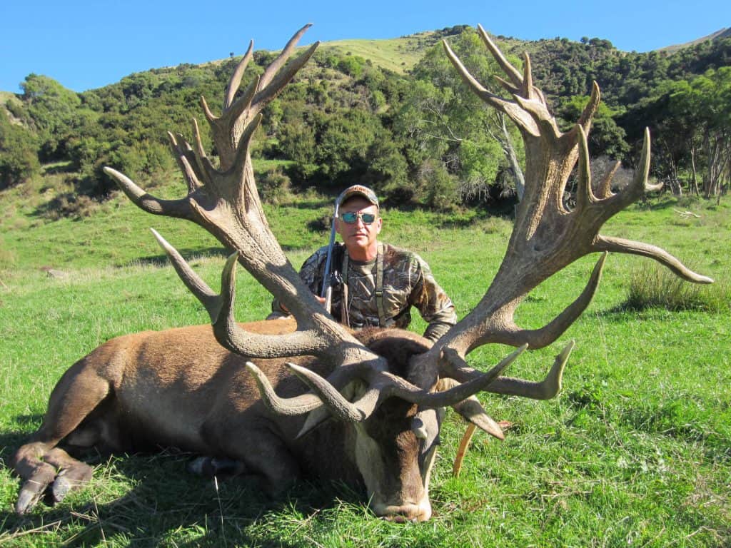 550-600D SCI Red Stag | South Pacific Safaris