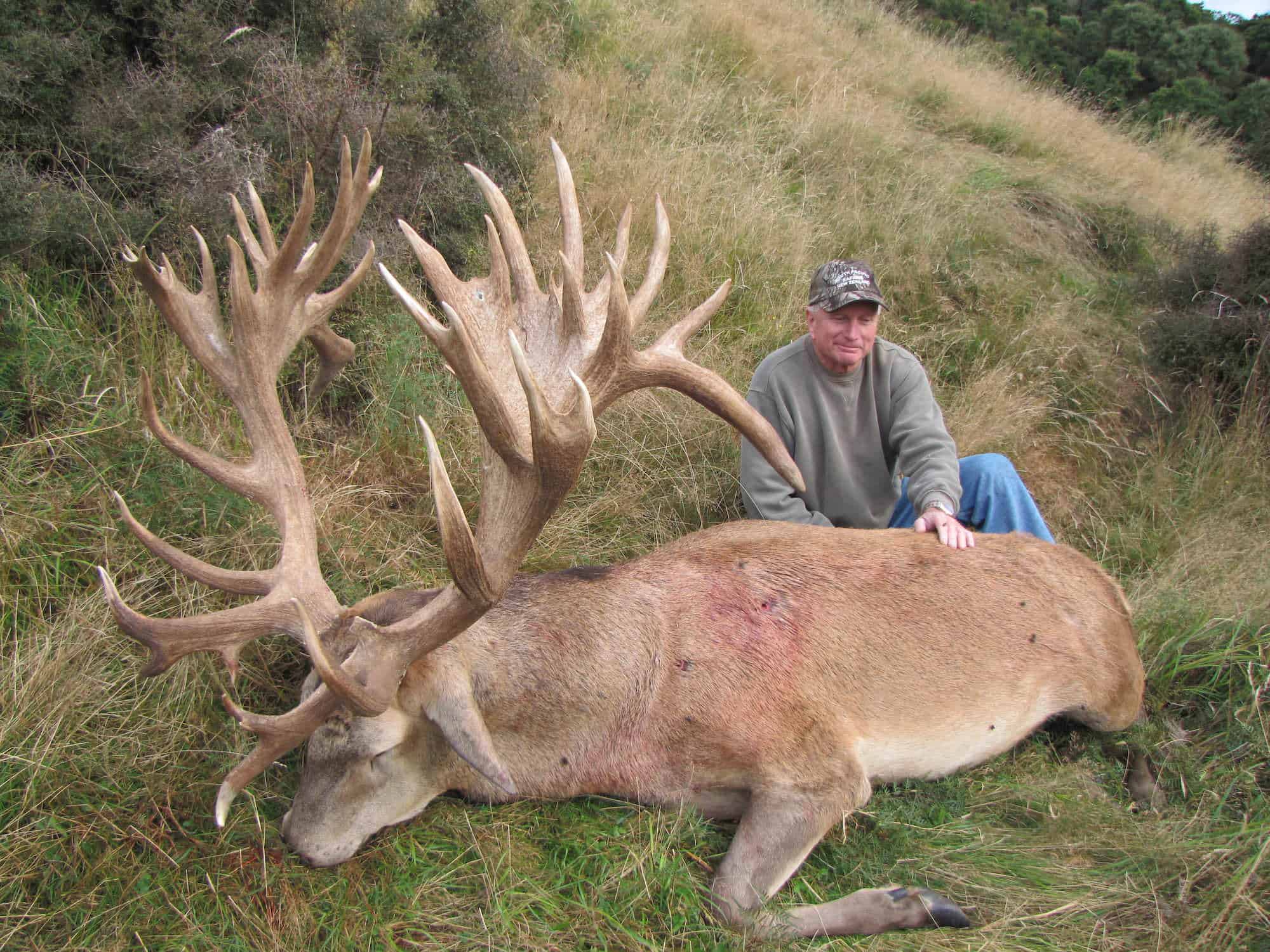 550-600F SCI Red Stag | South Pacific Safaris