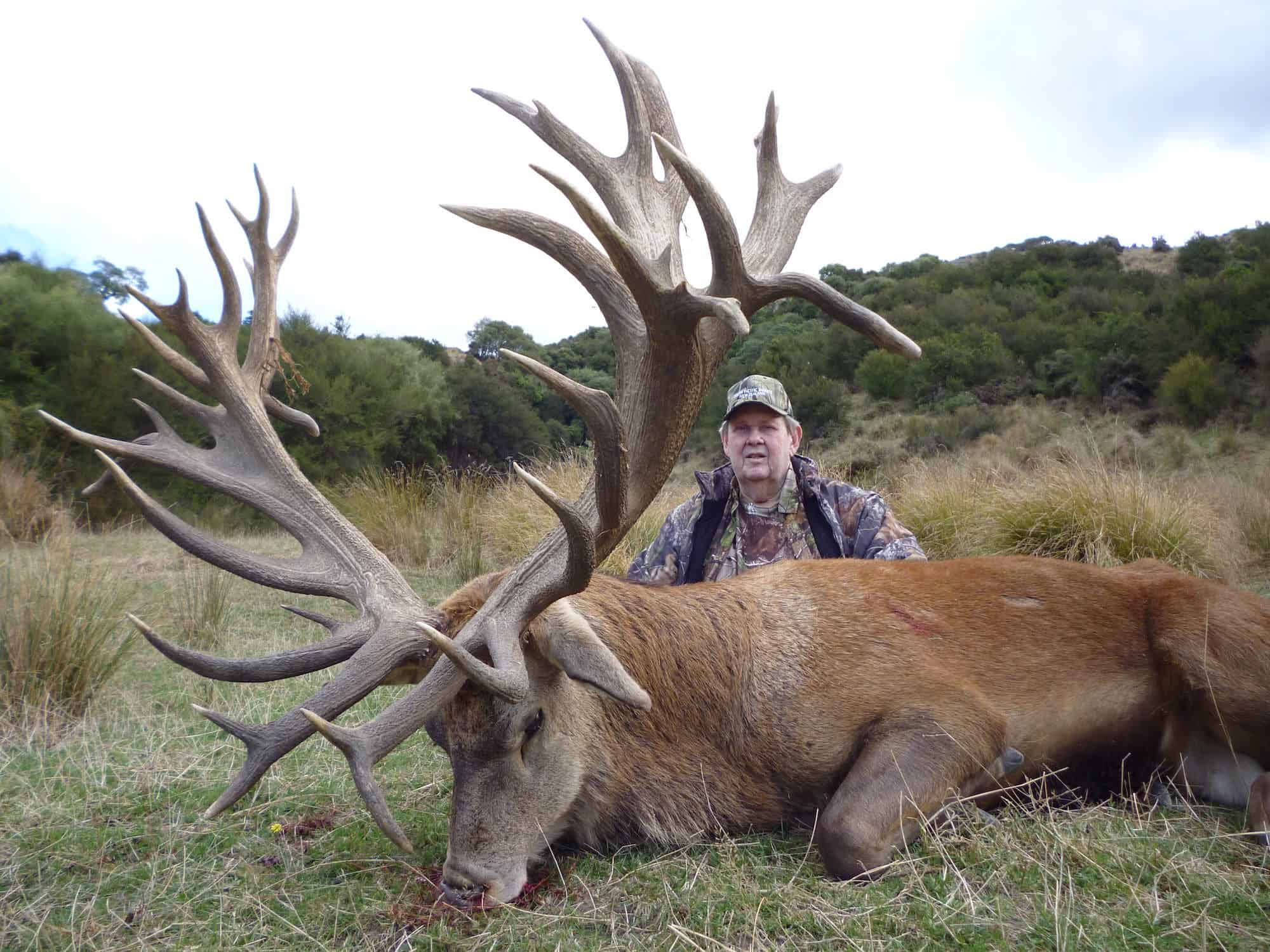 550-600G SCI Red Stag | South Pacific Safaris