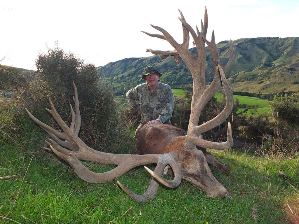 New Zealand Red Stag Hunting | South Pacific Safaris