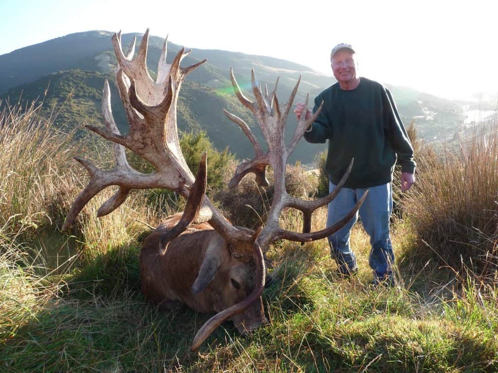 600+B SCI Red Stag | South Pacific Safaris