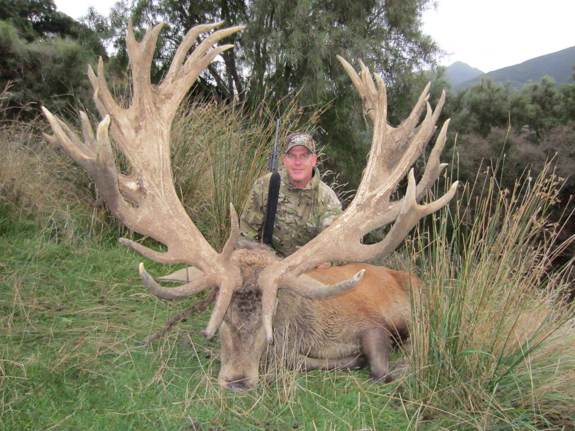 600+C SCI Red Stag | South Pacific Safaris