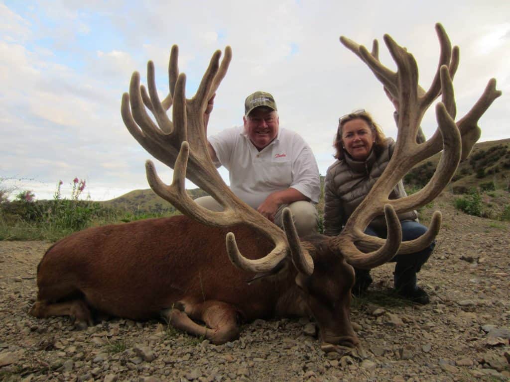 600+D SCI Red Stag | South Pacific Safaris
