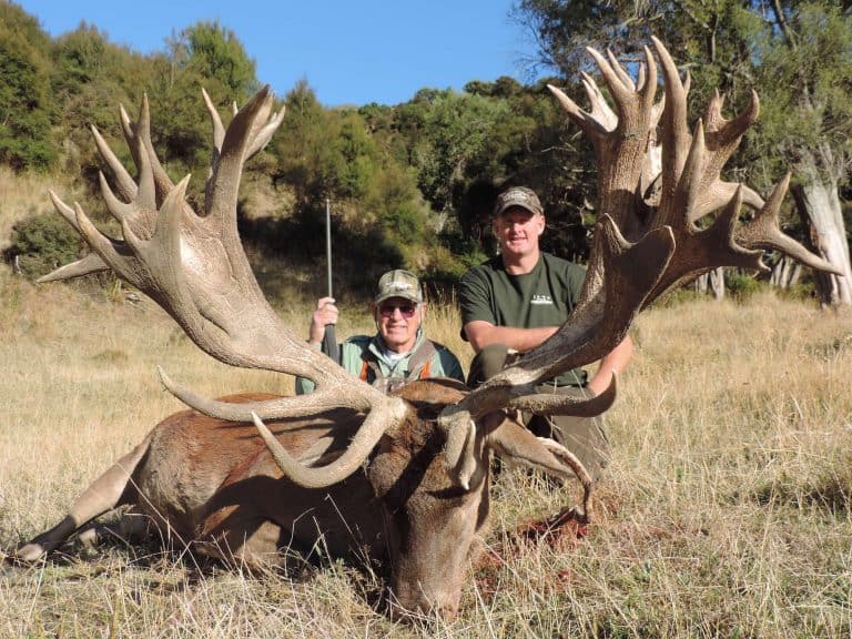 New Zealand Red Stag Hunting Trips | South Pacific Safaris