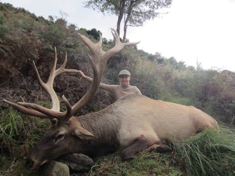 Hunt Elk in New Zealand | South Pacific Safaris | Private Game Estate