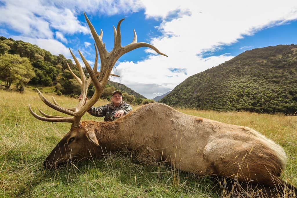 Hunt Elk in New Zealand | South Pacific Safaris | Private Game Estate